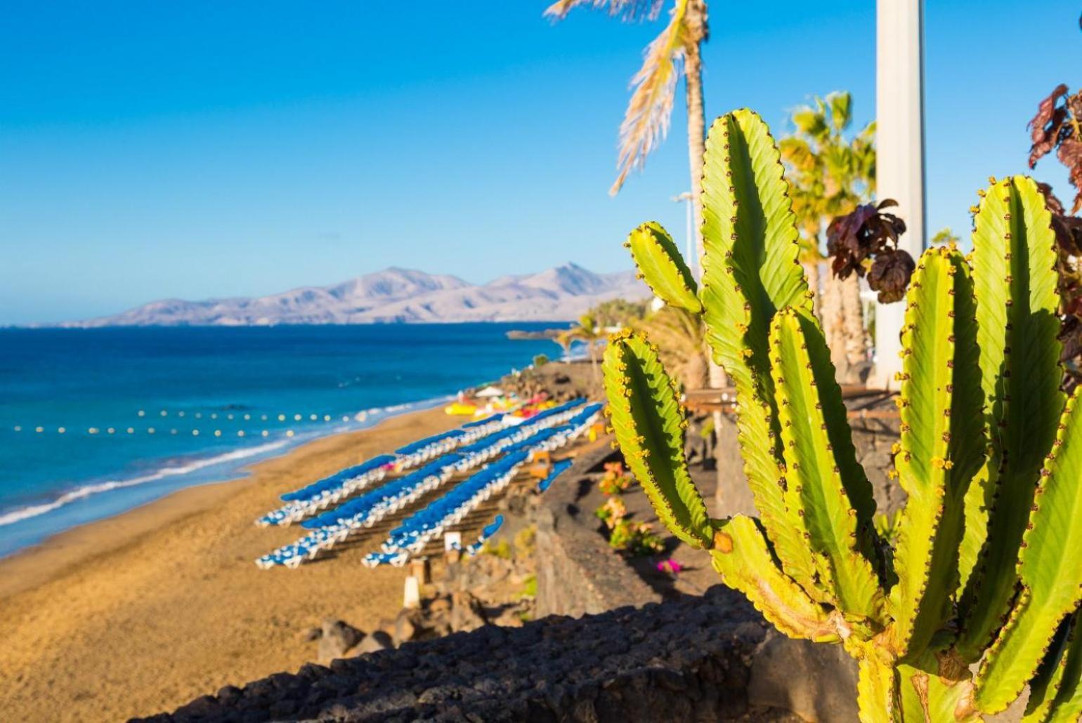 Villa Isla De Lobos Puerto del Carmen  Exteriör bild